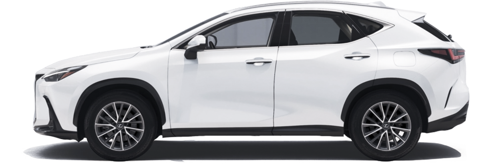 White 2026 Lexus NX side view jellybean