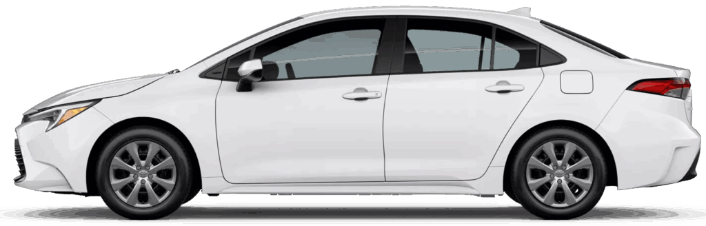 Toyota Corolla Jellybean
